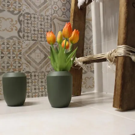 Mediterre Domus Casa vacanze *