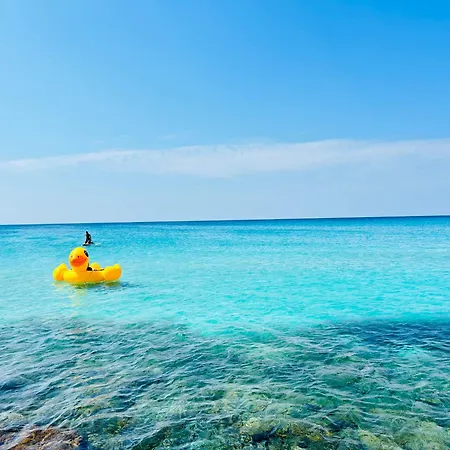 Mediterre Domus 別荘 *