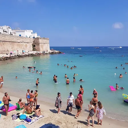 Mediterre Domus