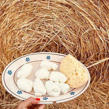 Casa de Férias Mediterre Domus