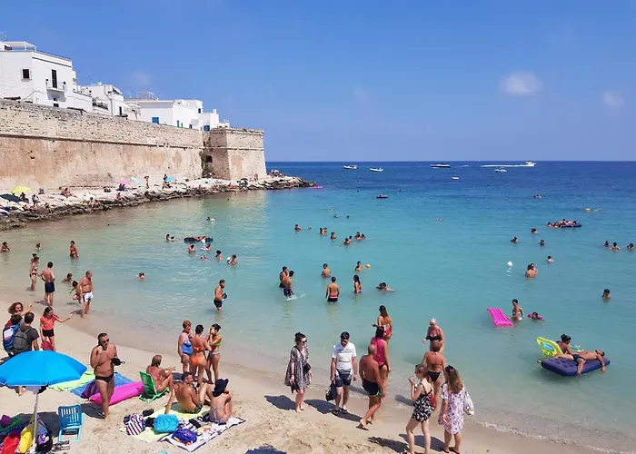 Mediterre Domus