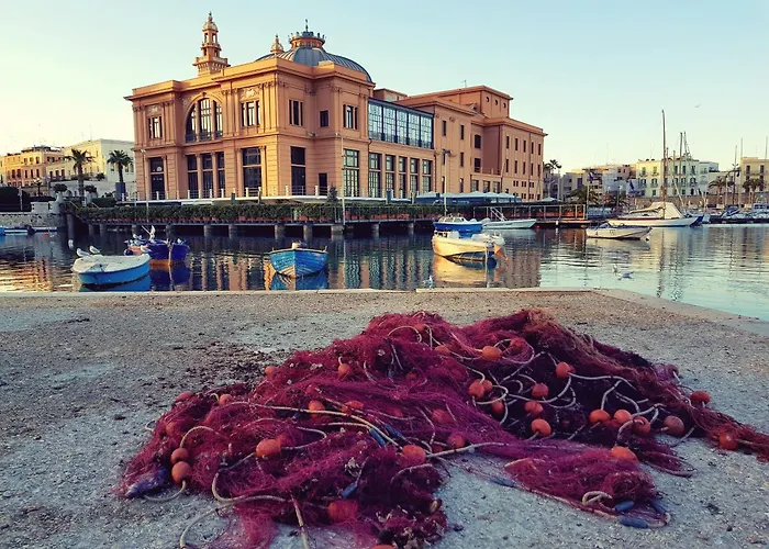 Mediterre Domus Casamassima